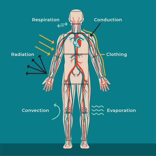 human_body_energy_management